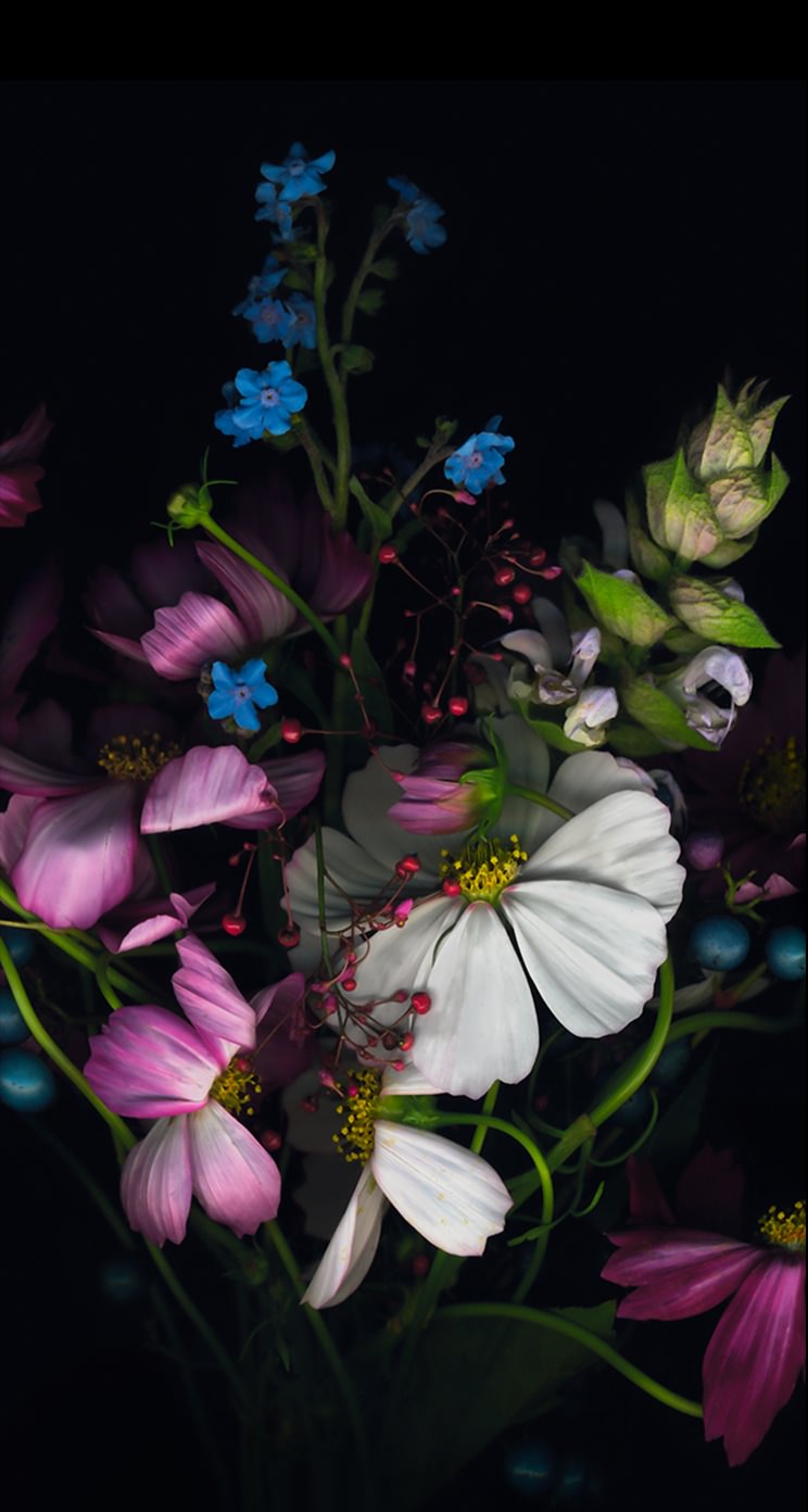 クール花桃白緑 Wallpaper Sc Iphone5s Se壁紙