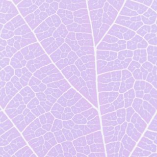 模様葉脈紫の iPhone5s / iPhone5c / iPhone5 壁紙