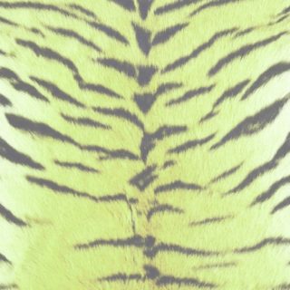 毛皮模様トラ黄緑の iPhone5s / iPhone5c / iPhone5 壁紙