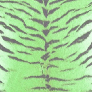 毛皮模様トラ緑の iPhone5s / iPhone5c / iPhone5 壁紙