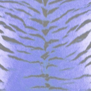 毛皮模様トラ青紫の iPhone5s / iPhone5c / iPhone5 壁紙