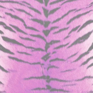 毛皮模様トラ赤紫の iPhone5s / iPhone5c / iPhone5 壁紙