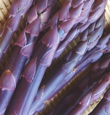 紫アスパラガス　野菜の iPhone6s / iPhone6 壁紙