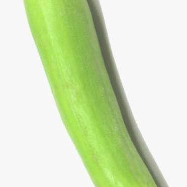 白うり　野菜【白瓜】の iPhone6s / iPhone6 壁紙