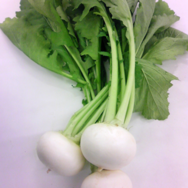 小かぶ　野菜の iPhone6s / iPhone6 壁紙