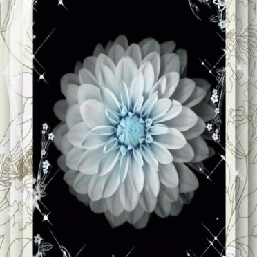花 クールの iPhone6s / iPhone6 壁紙