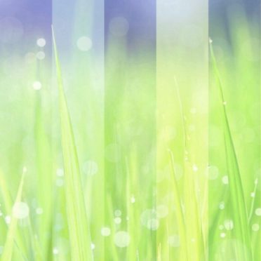 草むら 幻想的の iPhone6s / iPhone6 壁紙