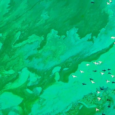 風景海飛行機の iPhone6s / iPhone6 壁紙