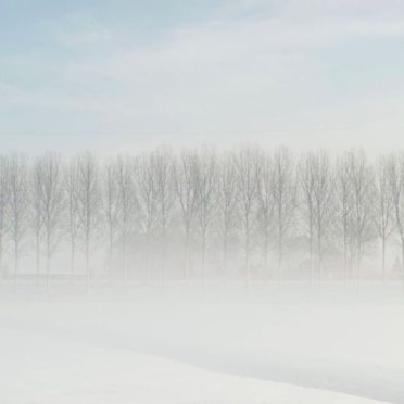 雪景色白の iPhone6s / iPhone6 壁紙