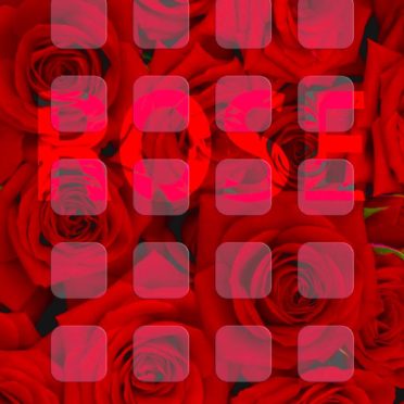 バラ赤棚ローズの iPhone6s / iPhone6 壁紙
