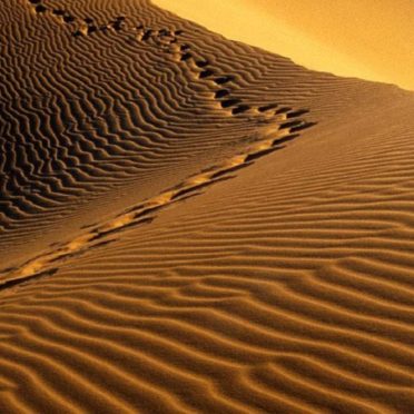 風景砂漠の iPhone6s / iPhone6 壁紙