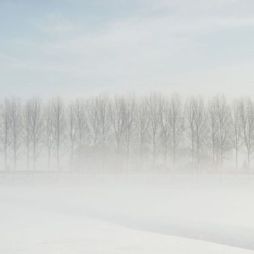 雪景色白の iPhone6s / iPhone6 壁紙