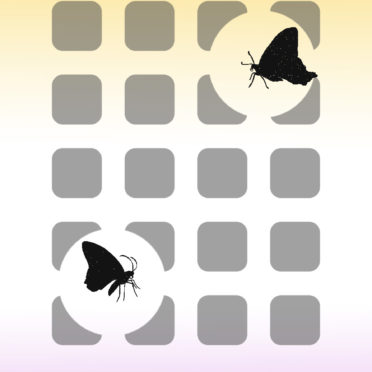 棚蝶黄紫の iPhone6s / iPhone6 壁紙