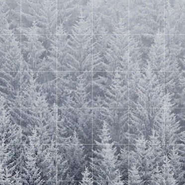 風景森雪白棚罫線の iPhone6s / iPhone6 壁紙