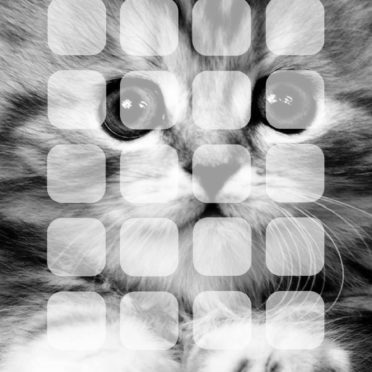 動物猫棚モノクロの iPhone6s / iPhone6 壁紙