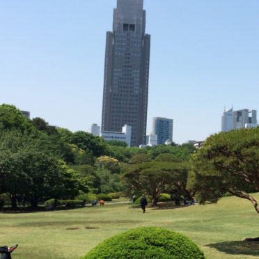 風景芝生ビルの iPhone6s / iPhone6 壁紙