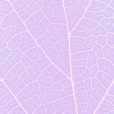 模様葉脈紫の iPhone6s / iPhone6 壁紙
