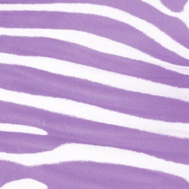 ゼブラ模様紫の iPhone6s / iPhone6 壁紙