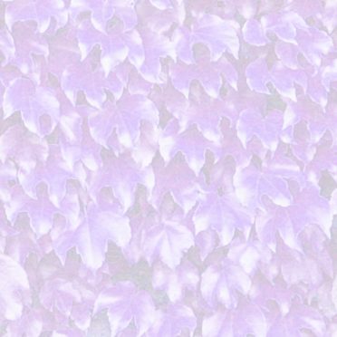 葉模様紫の iPhone6s / iPhone6 壁紙