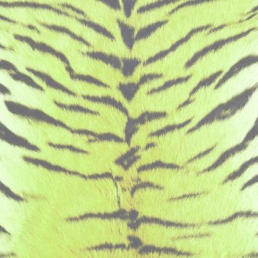 毛皮模様トラ黄緑の iPhone6s / iPhone6 壁紙