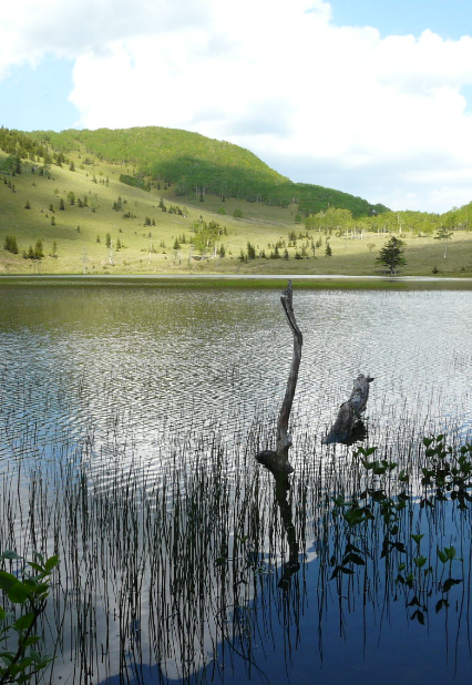 東雲湖　北海道三大秘湖　自然　風景の iPhone6s Plus / iPhone6 Plus 壁紙