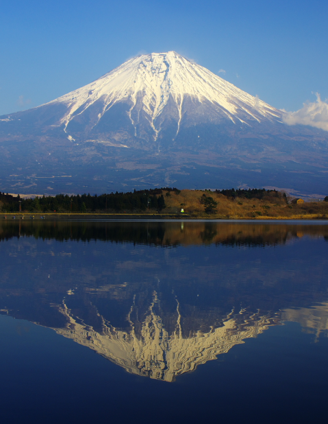 富士山　田貫湖　自然　風景の iPhone6s Plus / iPhone6 Plus 壁紙