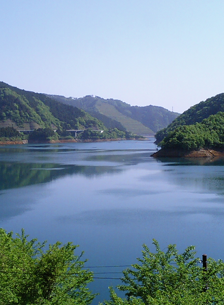 本栖湖　富士五湖　自然　風景の iPhone6s Plus / iPhone6 Plus 壁紙