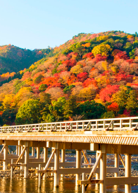 嵐山 京都 紅葉 壁紙 Wallpaper Sc Iphone6splus壁紙