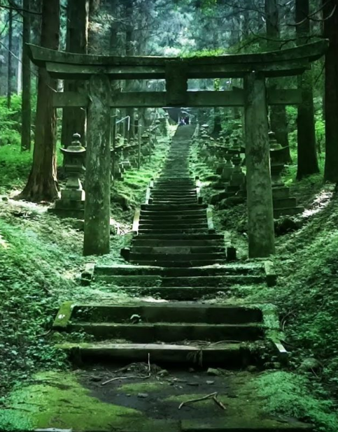 上色見熊野座神社　神秘的　壁紙の iPhone6s Plus / iPhone6 Plus 壁紙