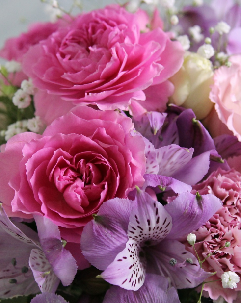 フラワーアレンジメント 　花束　カーネーション　きれい　かわいいの iPhone6s Plus / iPhone6 Plus 壁紙