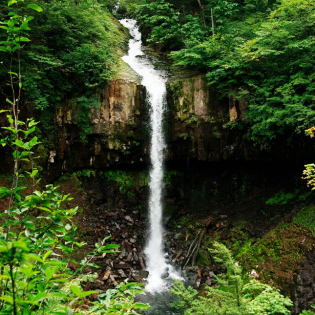 滝　森林　絶景の iPhone6s Plus / iPhone6 Plus 壁紙
