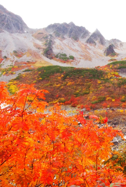 紅星牌　丈六宣　大壁紙５枚 紅葉 山 秋 壁紙 | wallpaper.sc iPhone6sPlus壁紙