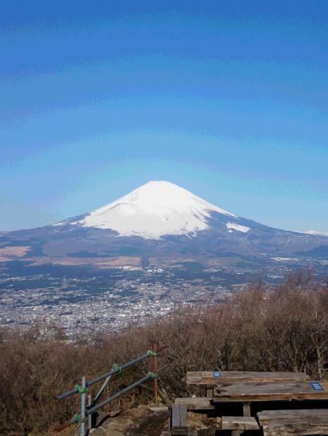 富士山　金時山　朝　壁紙の iPhone6s Plus / iPhone6 Plus 壁紙