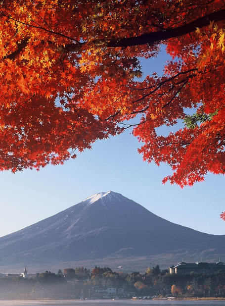 富士山　紅葉　秋　壁紙の iPhone6s Plus / iPhone6 Plus 壁紙
