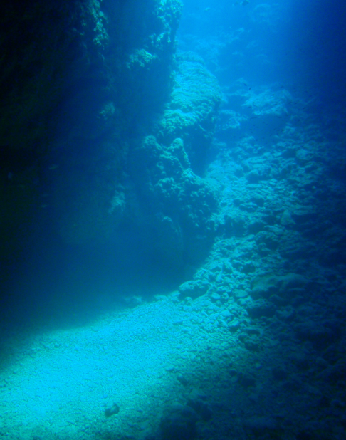 海底　かいてい　sea　ocean　風景　きれいの iPhone6s Plus / iPhone6 Plus 壁紙