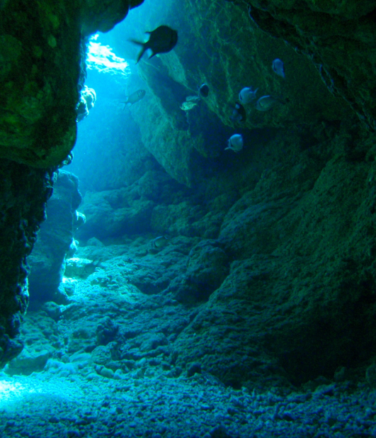 海底　かいてい　sea　ocean　洞窟　どうくつ　神秘の iPhone6s Plus / iPhone6 Plus 壁紙