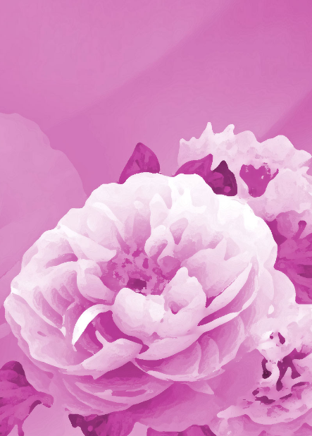 牡丹　ぼたん　紫　壁紙の iPhone6s Plus / iPhone6 Plus 壁紙