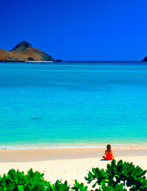 ハワイ Hawaii 海 Sea ビーチ Beach やしの木 風景 きれい Wallpaper Sc Iphone6splus壁紙