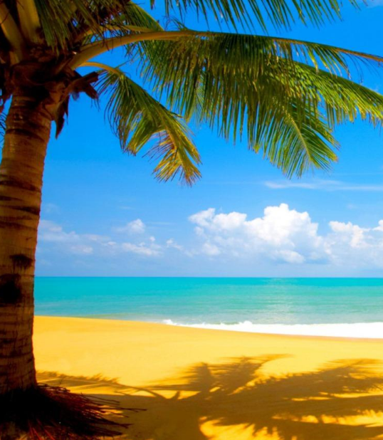 ハワイ　Hawaii　海　sea　ビーチ　beach　常夏　風景　きれい　の iPhone6s Plus / iPhone6 Plus 壁紙