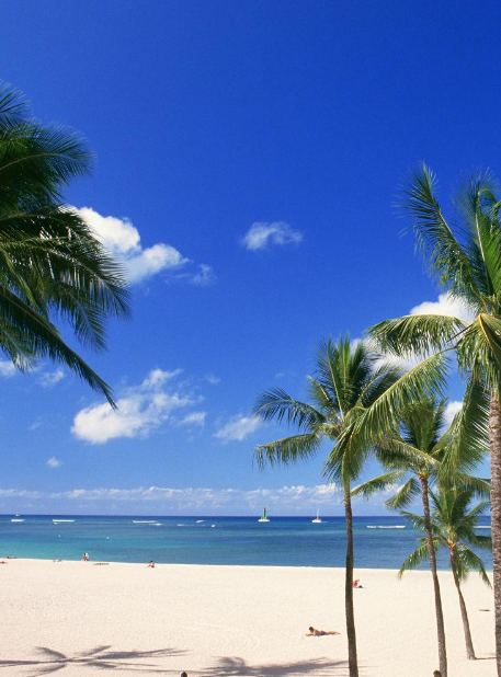 ハワイ Hawaii 海 Sea ビーチ Beach 水上コテージ やしの木 風景 きれい Wallpaper Sc Iphone6splus壁紙