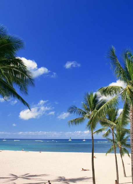 ハワイ Hawaii 海 Sea ビーチ Beach やしの木 風景 きれい Wallpaper