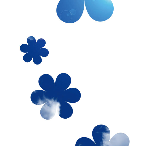 白青可愛い花シンプルの iPhone6s Plus / iPhone6 Plus 壁紙