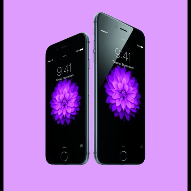 紫iPhone6iPhone6PlusAppleの iPhone6s Plus / iPhone6 Plus 壁紙