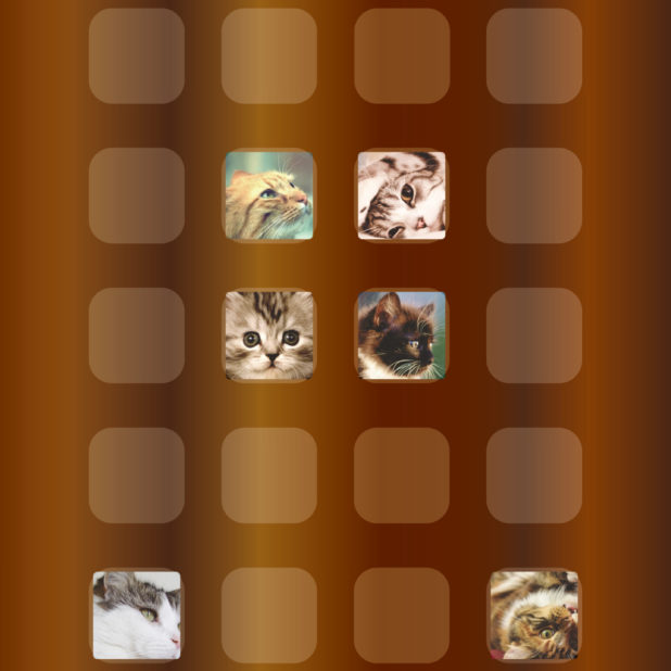 棚猫茶の iPhone6s Plus / iPhone6 Plus 壁紙
