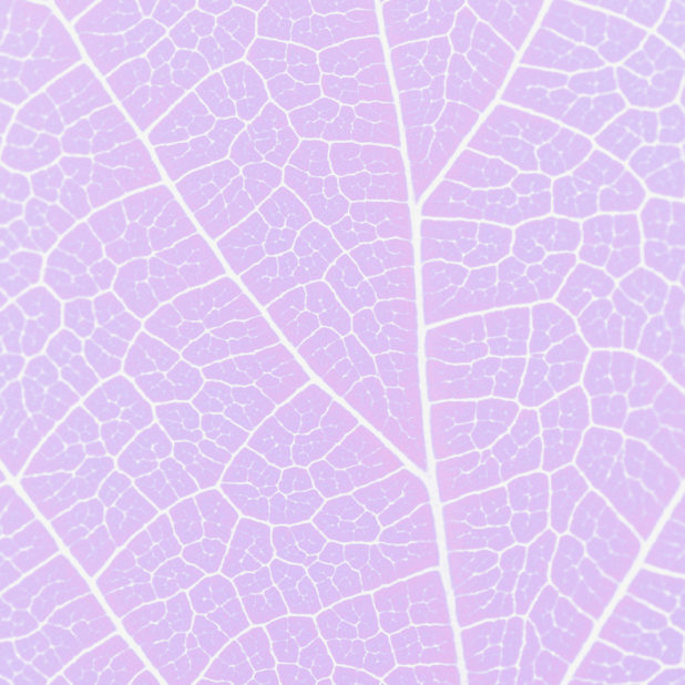 模様葉脈紫の iPhone6s Plus / iPhone6 Plus 壁紙