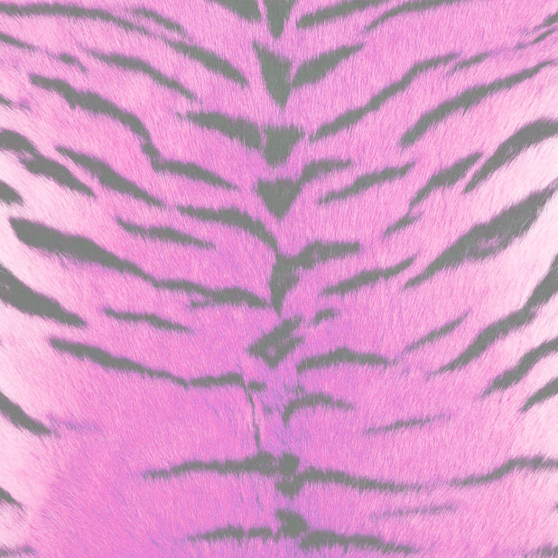 毛皮模様トラ赤紫の iPhone6s Plus / iPhone6 Plus 壁紙