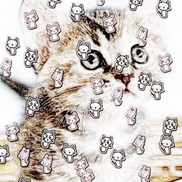 ネコ catの iPhone7 壁紙