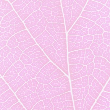 模様葉脈桃の iPhone7 壁紙