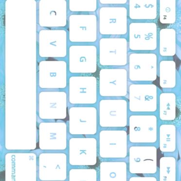花キーボード青白の iPhone7 壁紙