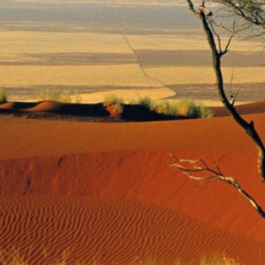 風景砂漠の iPhone7 壁紙